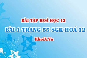 Bài 1 trang 55 SGK Hoá 12: Nội dung về Peptit và Protein